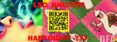 ПСИЛОЦИБИНОВЫЕ ГРИБЫ Аргун