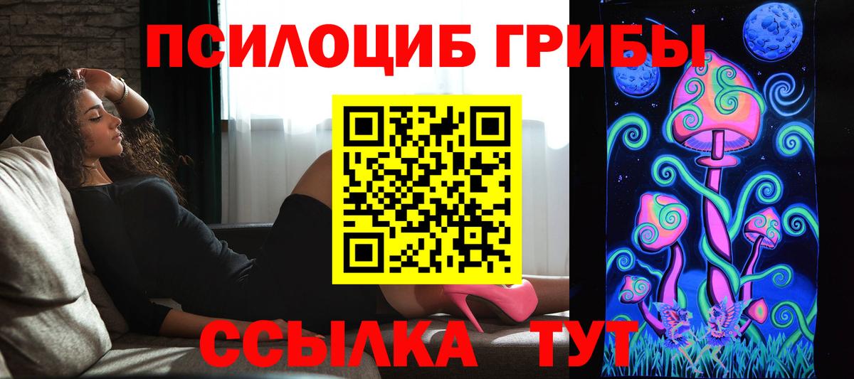 Галлюциногенные грибы Cubensis Березники